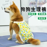 Другие магазины брюк возвращают более 10 000 видов цветных брюк, домашние животные, собаки, физиологические брюки, специальные менструальные брюки.