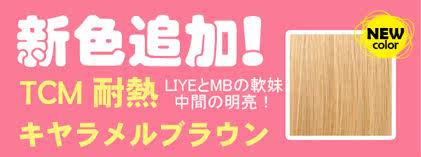 Extension cheveux - Chignon - Ref 248419 Image 7