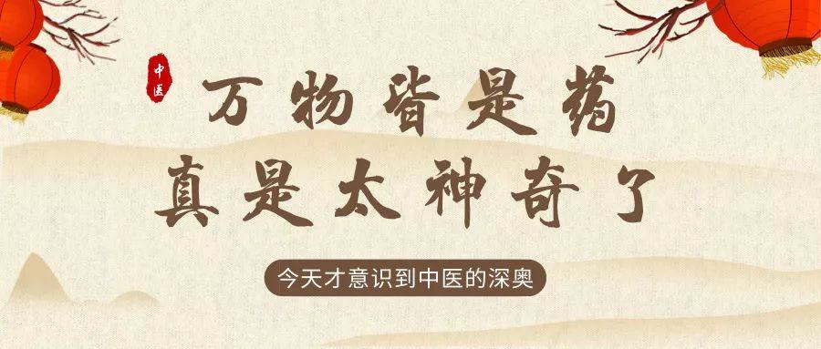万物都是料