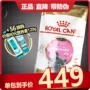 Royal Cat Food 10kg Royal British Short Cat Food BSk38 British Short Food đặc biệt Cat Food Silver Gradation Cat Food Young Cat Food - Cat Staples cám royal canin