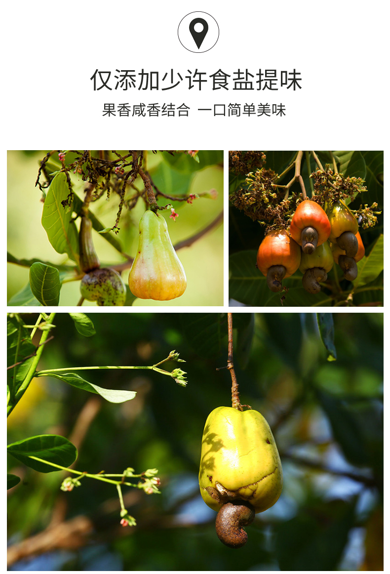 百草味 紫皮腰果 500g 图3