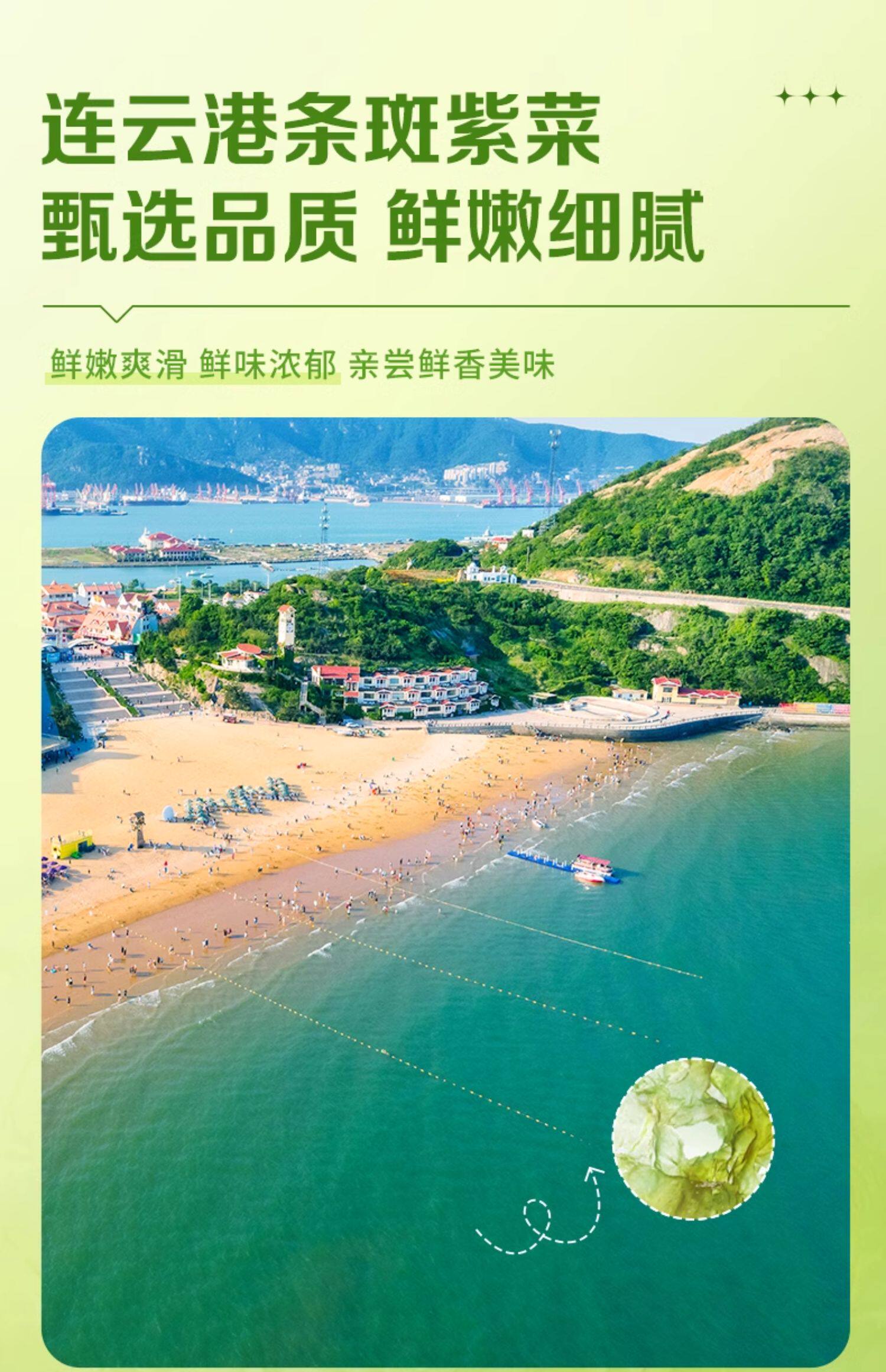 百草味 零食芝麻紫菜海味果蔬脆海苔酥脆 【6种坚果籽类 约40%含量】每日坚果海苔脆50g