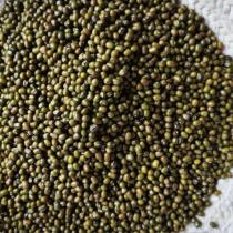 Farm mung beans Ming mung beans 5 pounds net weight Home-use sprouted bean sprouts cooked mung bean porridge with full grains