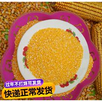 5 jins of new products fresh whole grains yellow corn ballast corn grits crushed corn dregs corn grits 2 5KG packs