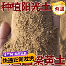 Natural soil large bag planting soil flower soil vegetable soil delicate loess garden soil nutrient soil sandy soil