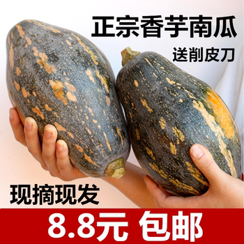 Guangxi taro pumpkin 8.8 yuan