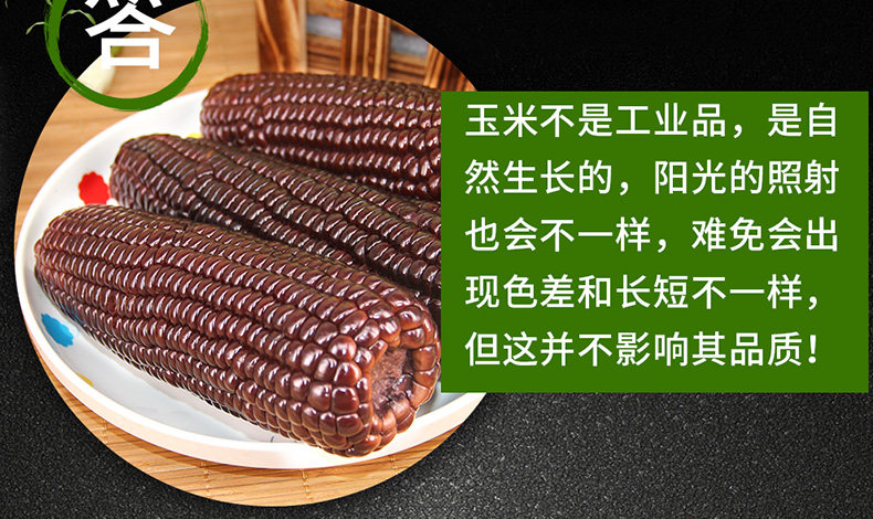 ПК-черный клейкий кукуруза_08.jpg
