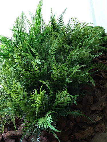 Моделирование папоротника растения мягкие пластиковые псевдо -царапические листья зеленые растения