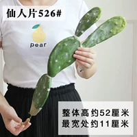 Fairy Film 526#Советы