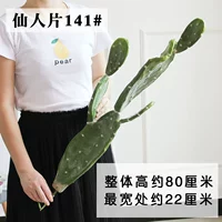 Fairy Film 141#большой