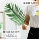 Легкие листья подсолнечника круглая голова