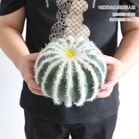 18 см белая полоса бархатный фея шарика