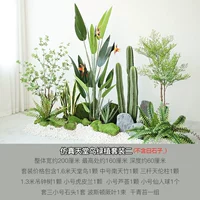 Симуляция Рай Птица Зеленый Растение 2