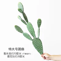 Дополнительный фанат группы