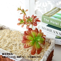 Черный маг красный