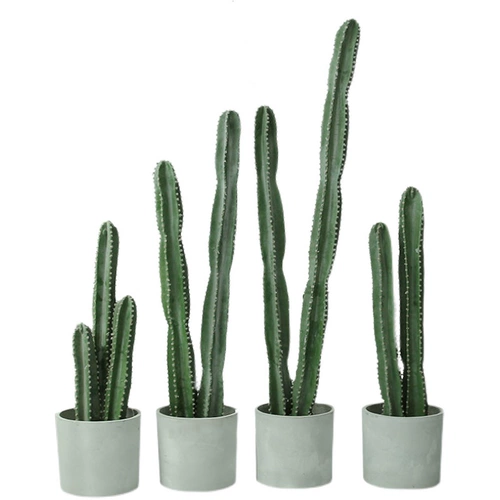 Сумма моделирования небаристого столба Столп Псевдо -Фак -Факский Тропический пустынный растения без шипов большие зеленые растения.