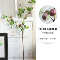 Apple, зеленый