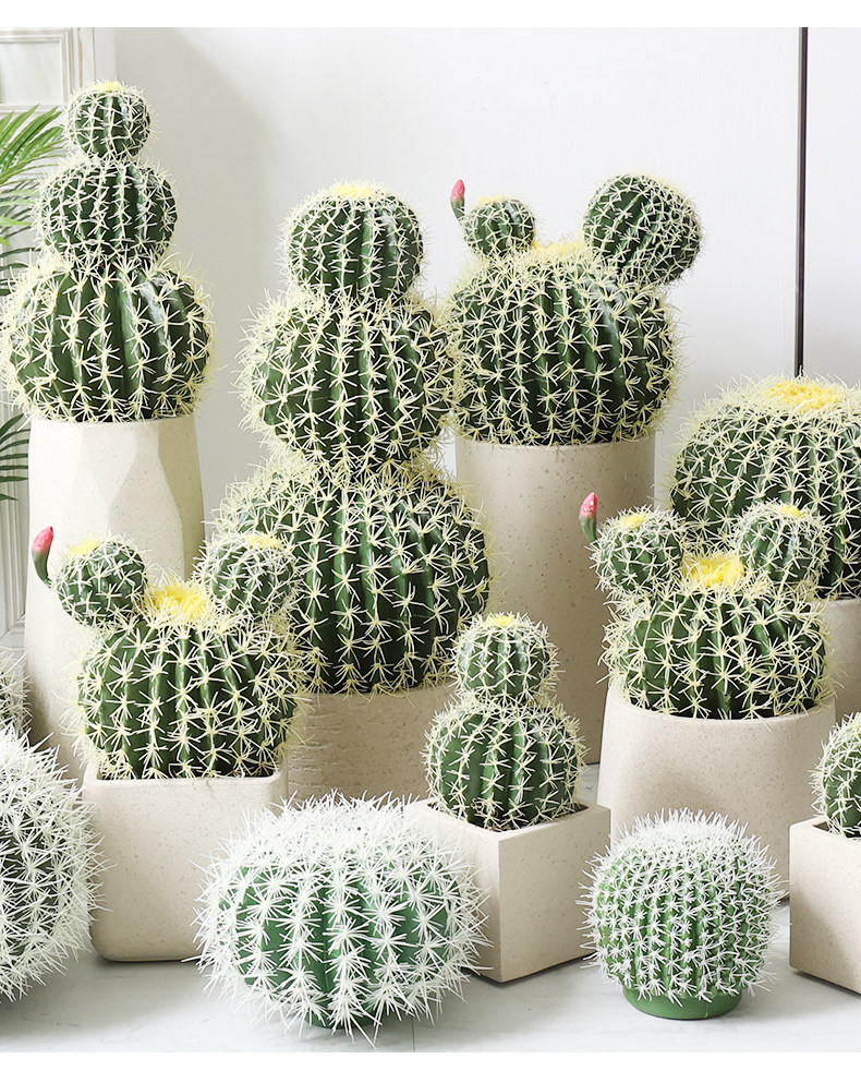 бонсай 彷真仙人球装饰摆件大号室内仙人掌热带沙漠绿植造景店铺橱窗陈列