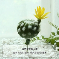 Светло -фиолетовый G39 Желтый цветочный сказочный шарик