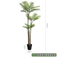 Большая пальма в горшке