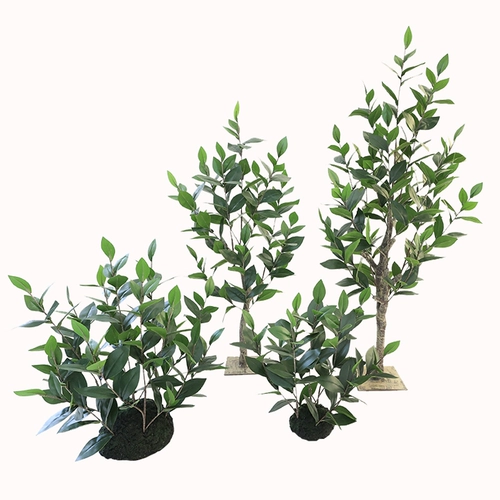 Имитация зеленого растения в ландшафтном дизайне, мох с плоским дном, витрина магазина, угловая ландшафтная планировка лестницы, подбор материала из зеленых листьев