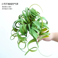 Нефлокированная воздушная трава небольшого размера