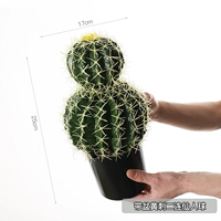 Кактус с желтыми шипами в горшке