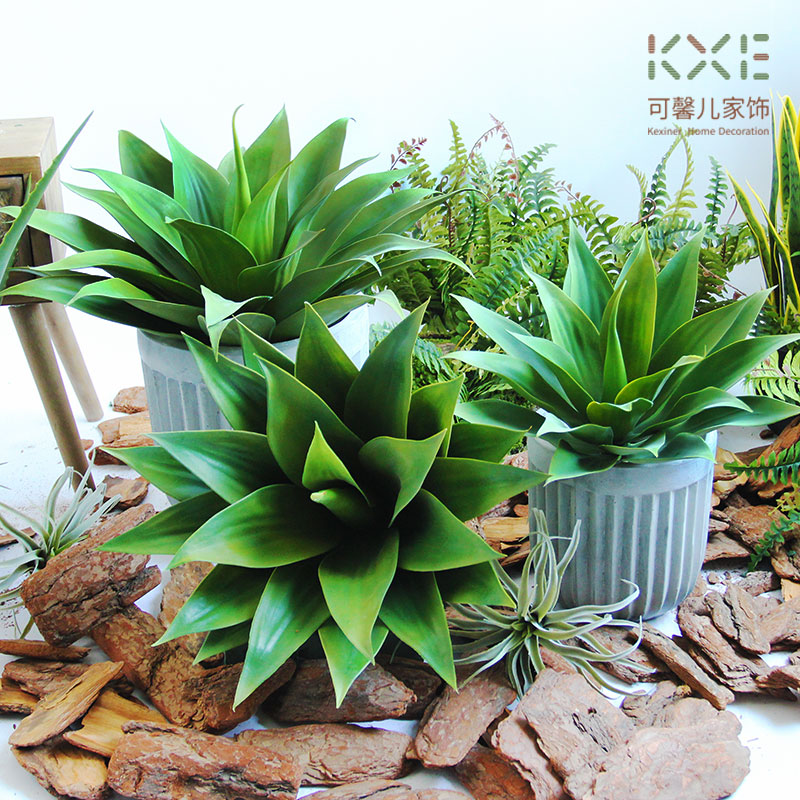 Simulation ultra large green plant tequila Tongue Land Fake Tropical Desert Green Plant multi-meat Aloe Shop Shop Window build-up scenery-Taobao