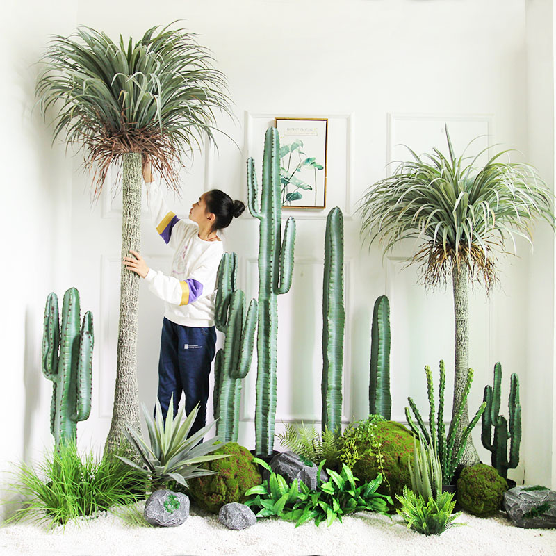 Tropical rain forest landscape simulation plant cactus large pot INS Nordic green plant space design layout decoration
