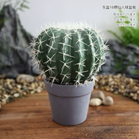 Серый горшок с 16 канавками кактус в горшке