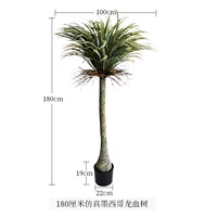 180 см имитирует дерево крови мексиканского дракона (зашифровано)