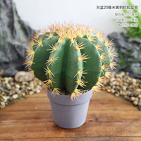 Серый горшок 20 см, растение в горшке из мягкого пластика с желтыми шипами.