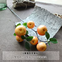 6 фруктовых желтых яблочных ветвей