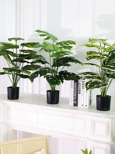 Бионическое зеленое растение Маленькая черепаха задняя часть бамбука свободный хвост прозвище