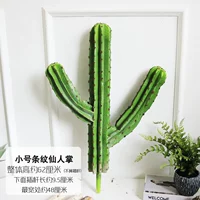 Маленькая полосовая сказочная ладоня