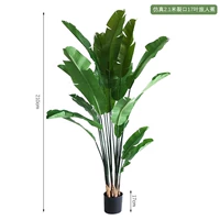 Имитация треснувшего 17-листного банана-путешественника высотой 2,1 метра