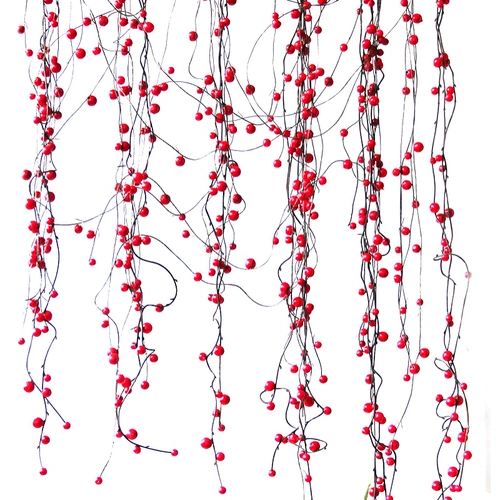 Симуляция ручной ручной красный фруктовый шашлык с дверной занавеской