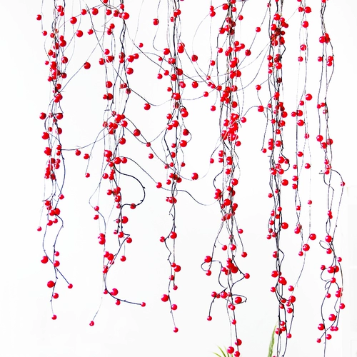 Симуляция ручной ручной красный фруктовый шашлык с дверной занавеской