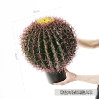 Принесите большой красный сказочный мяч