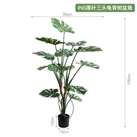 INS толстолистное трехголовое черепаховое дерево в горшке