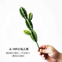 Браун JL-009 Кактус