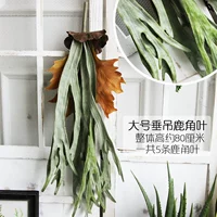 Коричневые большие вертикальные листья рога