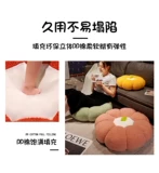 Подушка тыквенного футона на земле, ленивая гостиная, прикладка, эркуационное окно Татами, прокладка, подушка