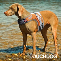 Special Touchdog it it outdoor dog walk luminous chest strap vest chest back breathable and comfortable