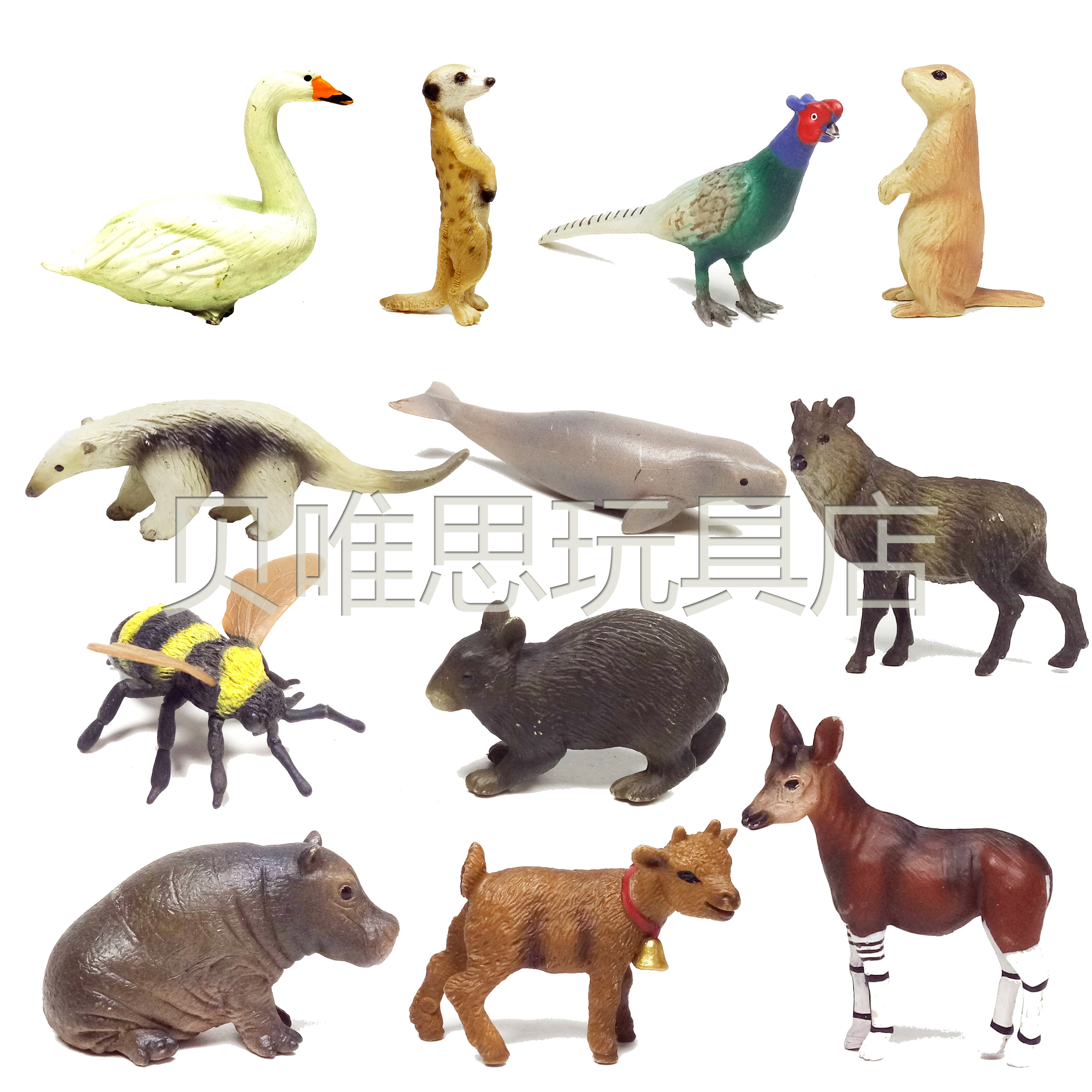 Toy Model Turkey Hoga Psittac Swan Mustela Hippo Sheep Manatee Bee Rabbit Anteate Beast
