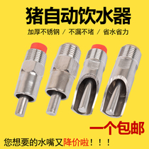 Pig drinking water fountain pig drinking water nozzle automatic water feeder drinking water breeding stainless steel pig mouth pig raising equipment