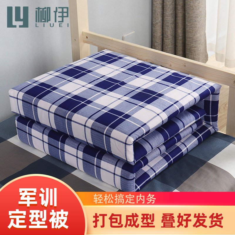 Student Styling Quilt Tofu Block Dormitory housekeeping Standard Forming cotton quilted by a single hot melt cotton