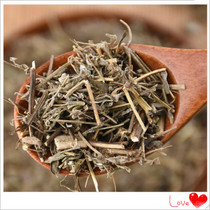 Chinese herbal medicine fragrant elsholtzia with new stock of elsholtzia Chinese herbal medicine Fragrant Joux Grass needs fresh dry goods 500g National Oh