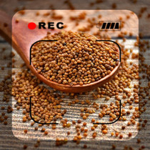 Nemonds Dodder 500g Another masturbate Wort Leeks Seed Pink Rabbit Silk Bubble Wine Tea 