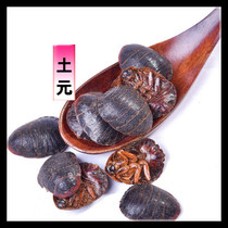 Ground Turtle medicinal herbs 500g Tuanmin powder ground beetle dry and dried bone Chinese herbal medicine shop big all over the place